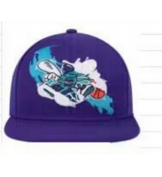 Charlotte Hornets Snapback Cap 25G012