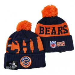 Chicago Bears NFL Beanies 022
