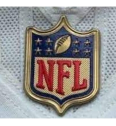 Youth Green Bay Packers Gold NFL Logo Patch Biaog