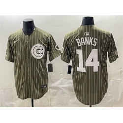 Men Chicago Cubs  14 Ernie Banks Pinstripe Olive 2026 Armed Forces Day Salute To Service Stitched Baseball Jersey