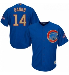 Youth Majestic Chicago Cubs 14 Ernie Banks Authentic Royal Blue 2017 Gold Champion Cool Base MLB Jersey