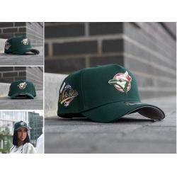 Toronto Blue Jays Snapback 25G016