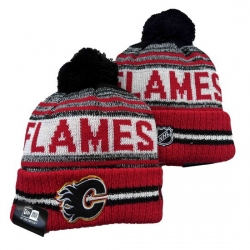 Calgary Flames NHL Beanies 002
