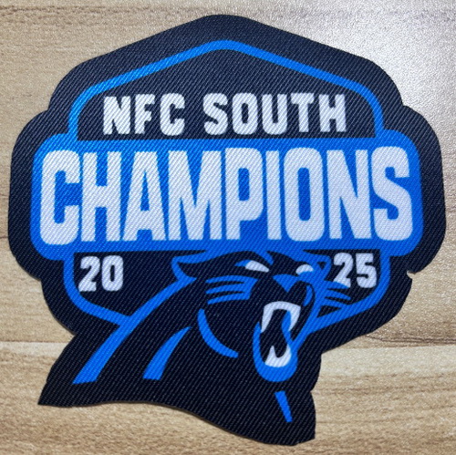 Carolina Panthers NFC SOuth Champions 2025 Patch Biaog